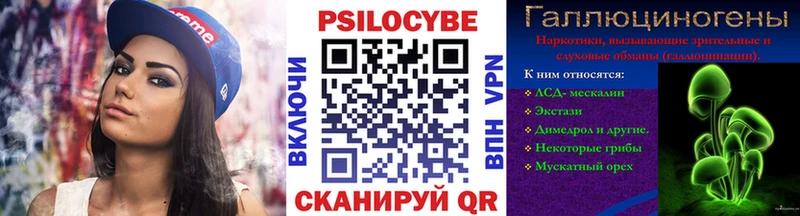 Купить  Павловская  Псилоцибиновые грибы Psilocybine cubensis 