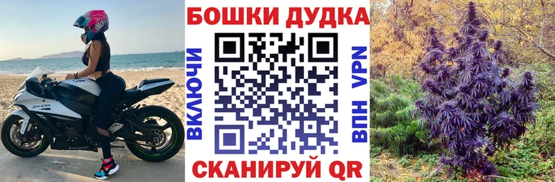 Купить закладки  Павловская  Каннабис сатива 